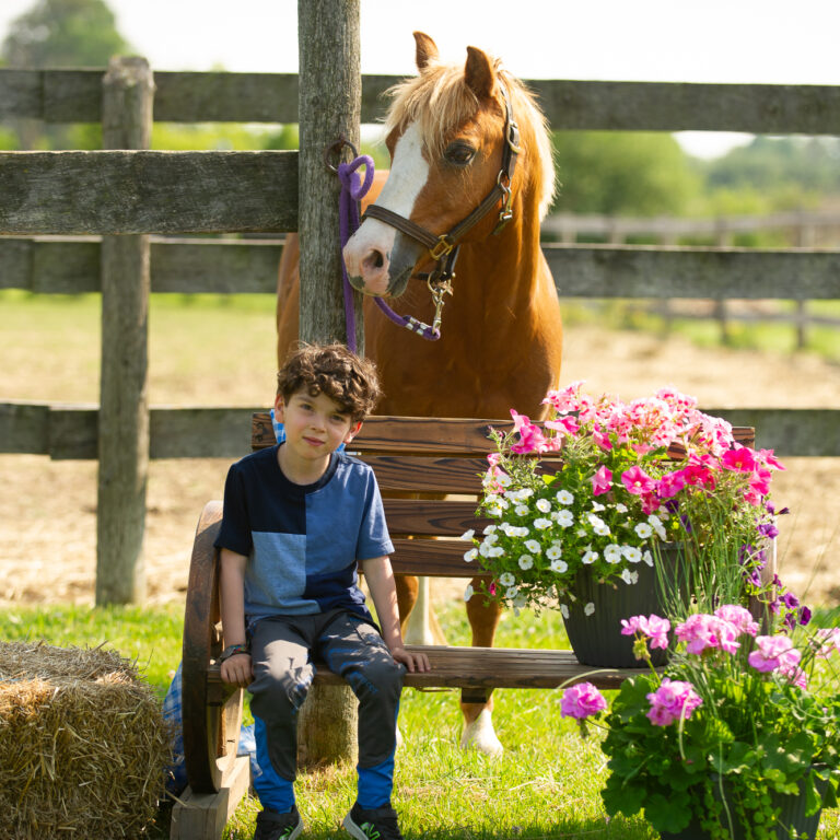 Child sitting on a bench in front of a horse