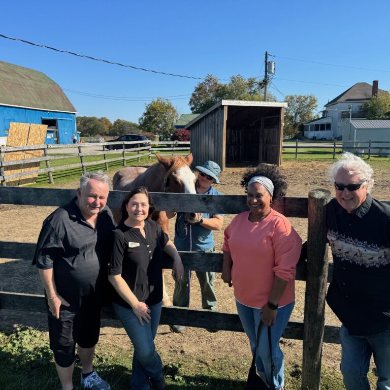 HDSDC members standing by a paddock with two horses