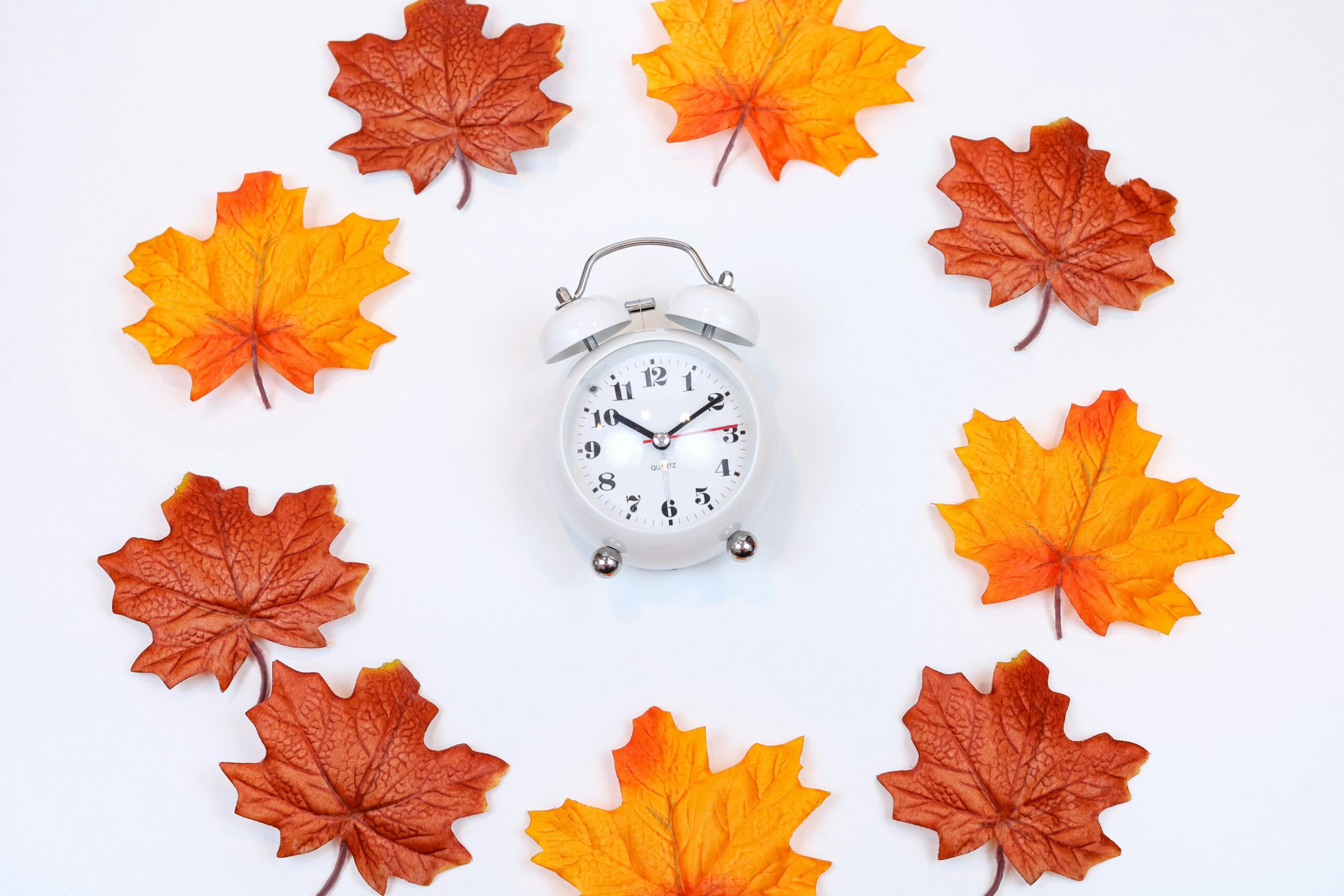 Brown and orange maple leaves around an old-timey white clock on a light background